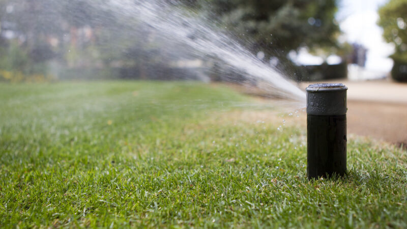 Irrigation Services – Why It’s Important to Have Your Sprinklers Inspected in the Spring